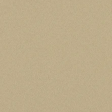 CARAMEL Swatch Teaser